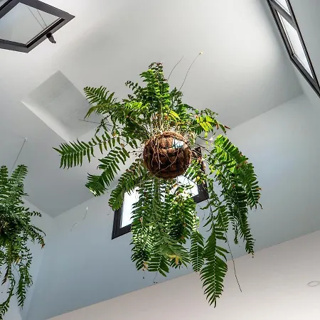 Comfortable House In With Free Parking * Tías